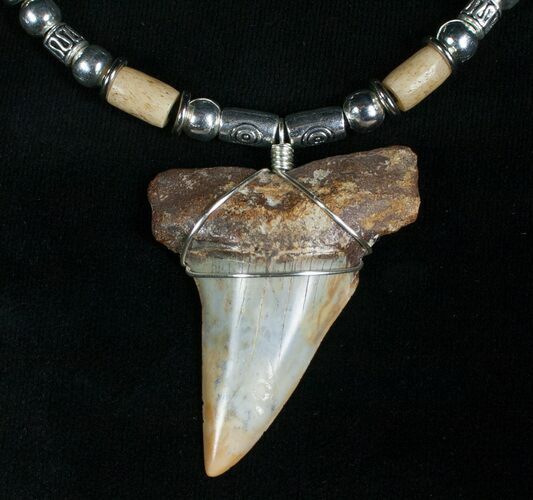 Fossil Mako Tooth Necklace - Bakersfield, CA #5328